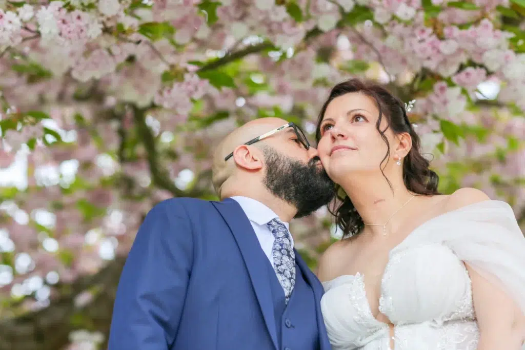 Couple de mariés s'embrassant sous les cerisiers en fleurs